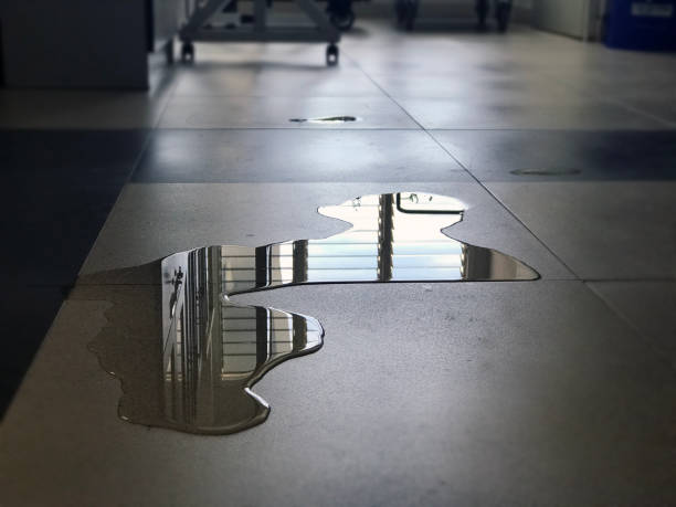 Best 24-hour water damage restoration  in Evadale, TX