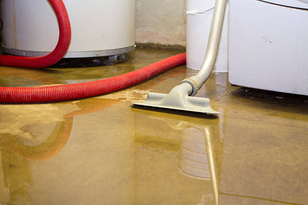 Best Flooded house restoration  in Evadale, TX